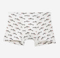Load image into Gallery viewer, Boys Boxer Brief Bundle
