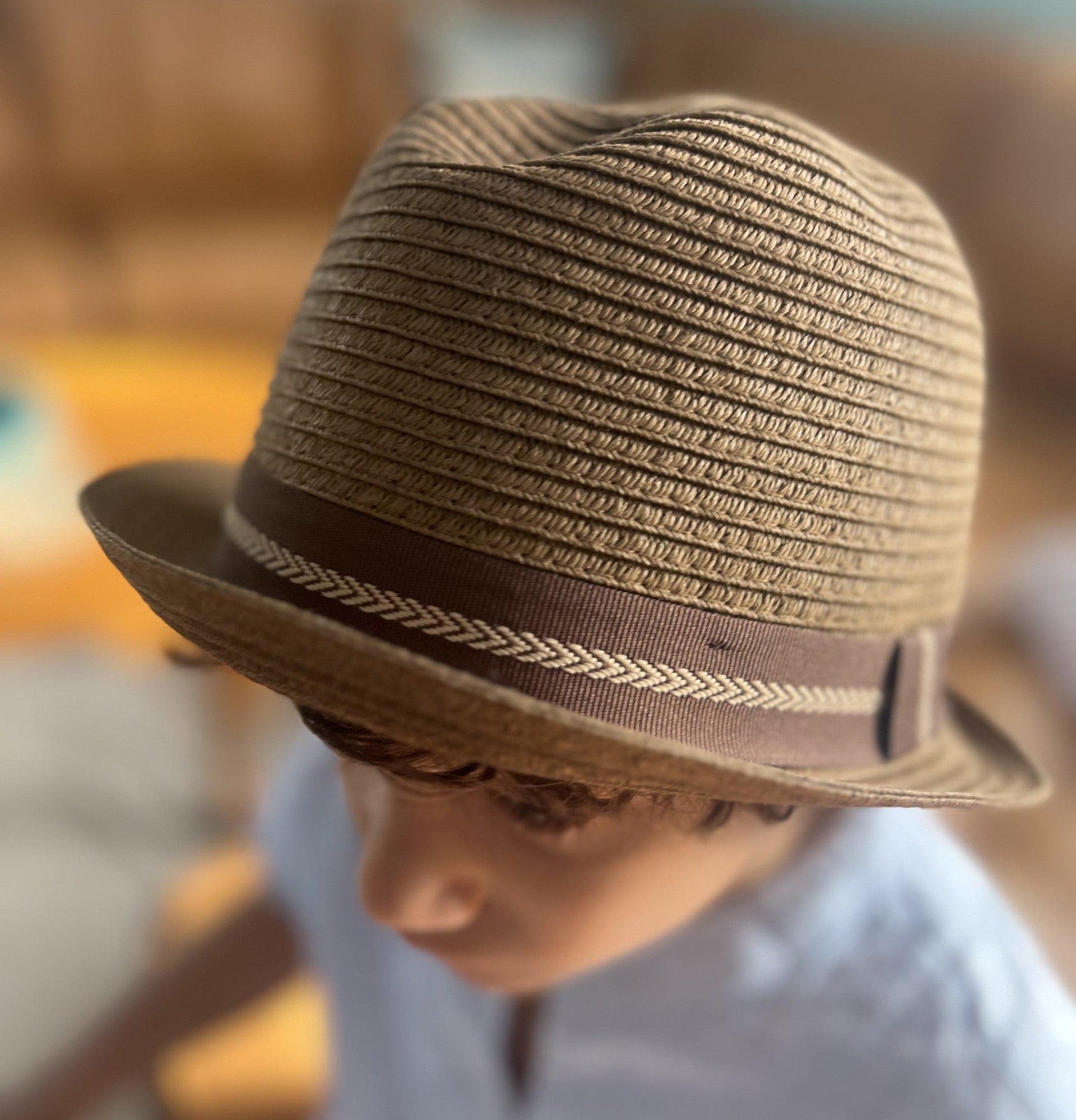 Top view of fedora showing the shape